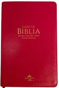 Biblia RVR60 065cti LG Clásica Fucsia