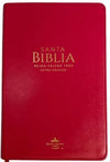 Biblia RVR60 065cti LG Clásica Fucsia