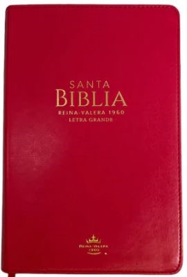 Biblia RVR60 065cti LG Clásica Fucsia