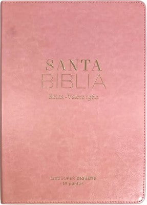 Biblia RVR60 095Cti Lspg Pjr Clásica Rosa