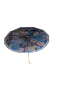BLUE UMBRELLA