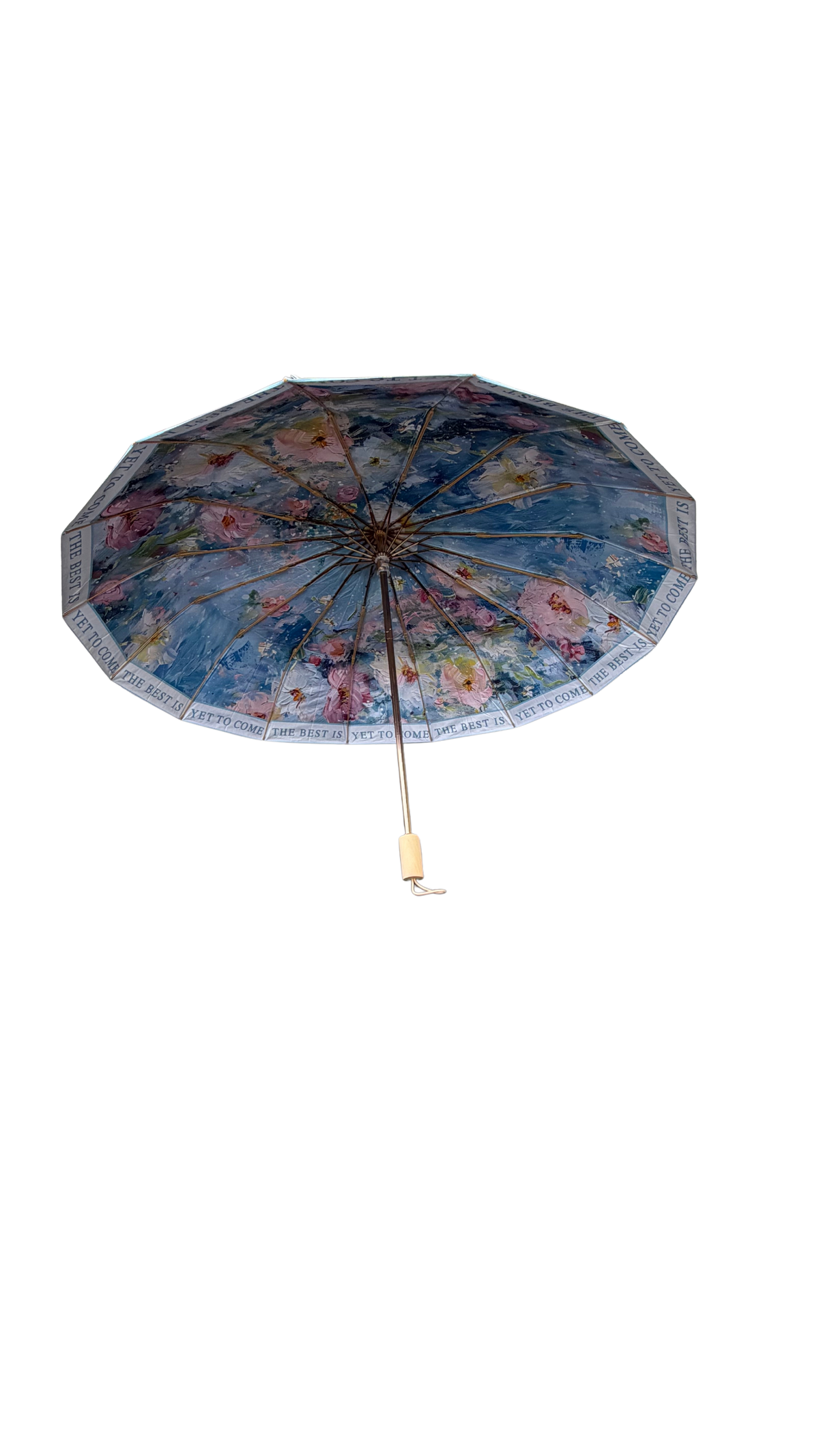 BLUE UMBRELLA