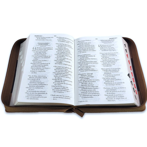 Biblia con Cierre Compacta 11 puntos RV1960 imit duotono café con índice