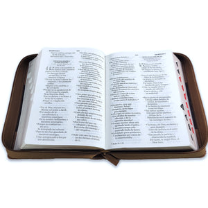 Biblia con Cierre Compacta 11 puntos RV1960 imit duotono café con índice
