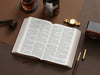 Biblia RVR60 Tamaño manual letra GIgante i/piel café