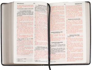 Biblia RVR1960 Clásica Negra LG