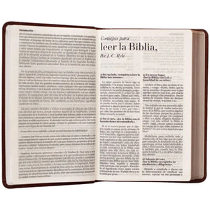 Biblia RVR1960 Clásica Café LG