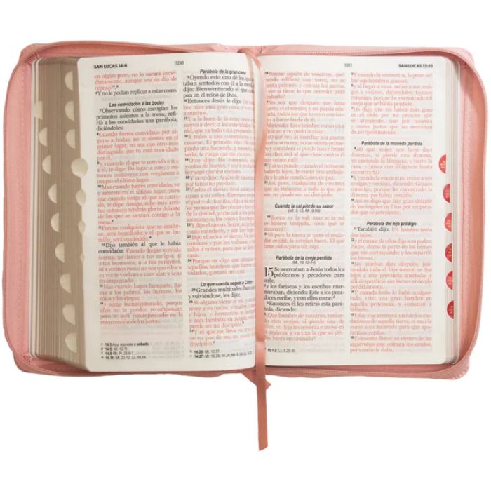 Biblia RVR 1960 Letra Grande Tamaño Manual Símil Piel Rosada con Índice con Cierre con Cierre