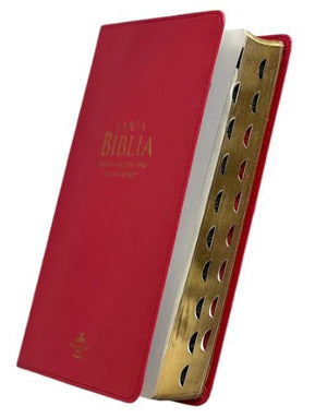 Biblia RVR60 065cti LG Clásica Fucsia