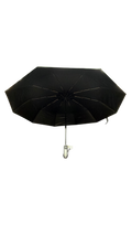 BLACK UMBRELLA