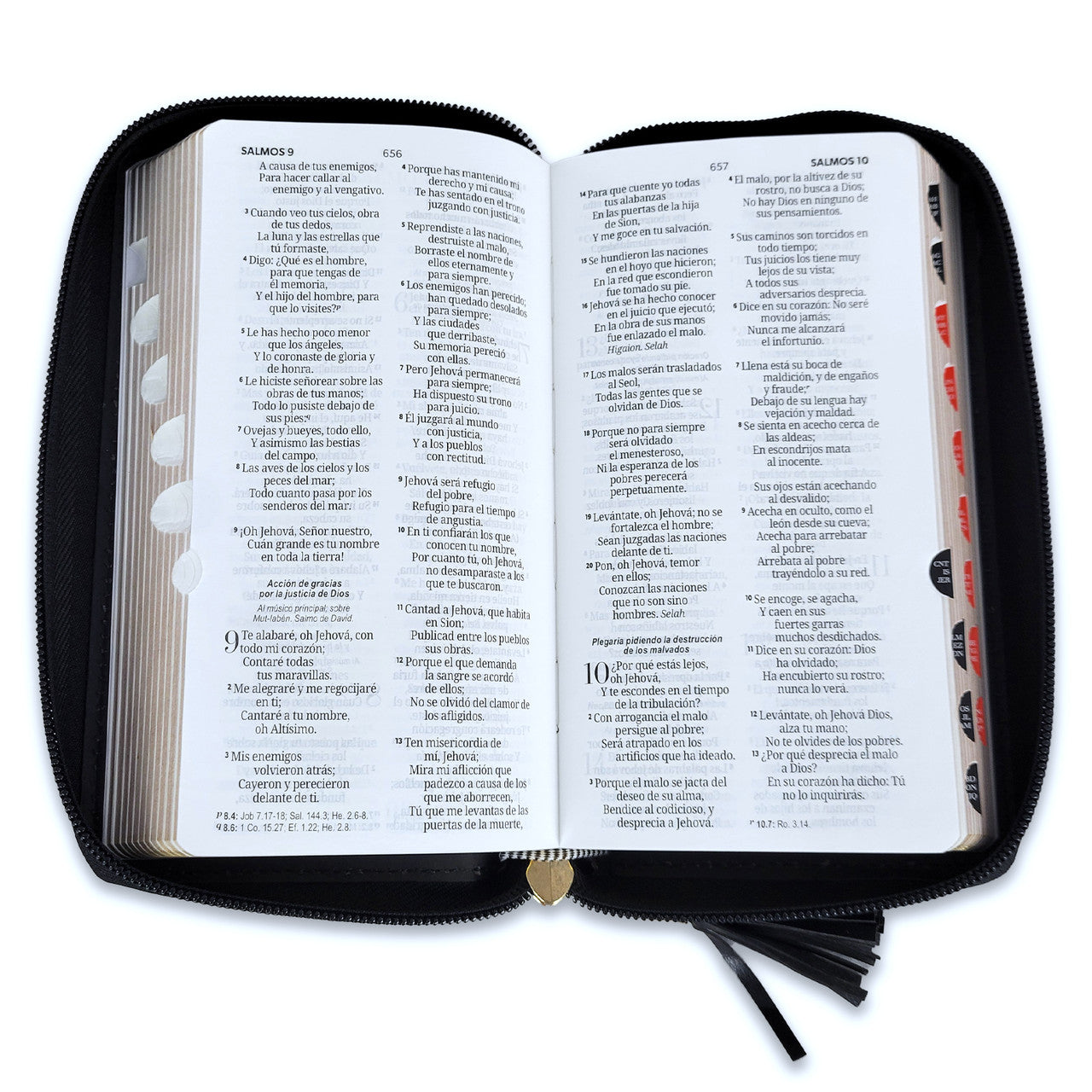 Bibllia RVR6015CZTI/ Chequera Negro/Beige/ Cierre Indice [Biblia