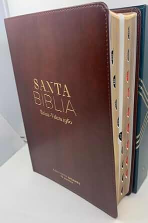 Biblia letra gigante 19 puntos Reina valera 1960 imitacion piel cafe clasica con indice