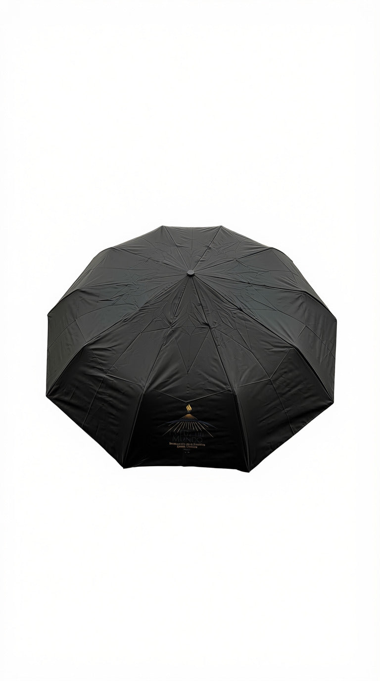 BLACK UMBRELLA