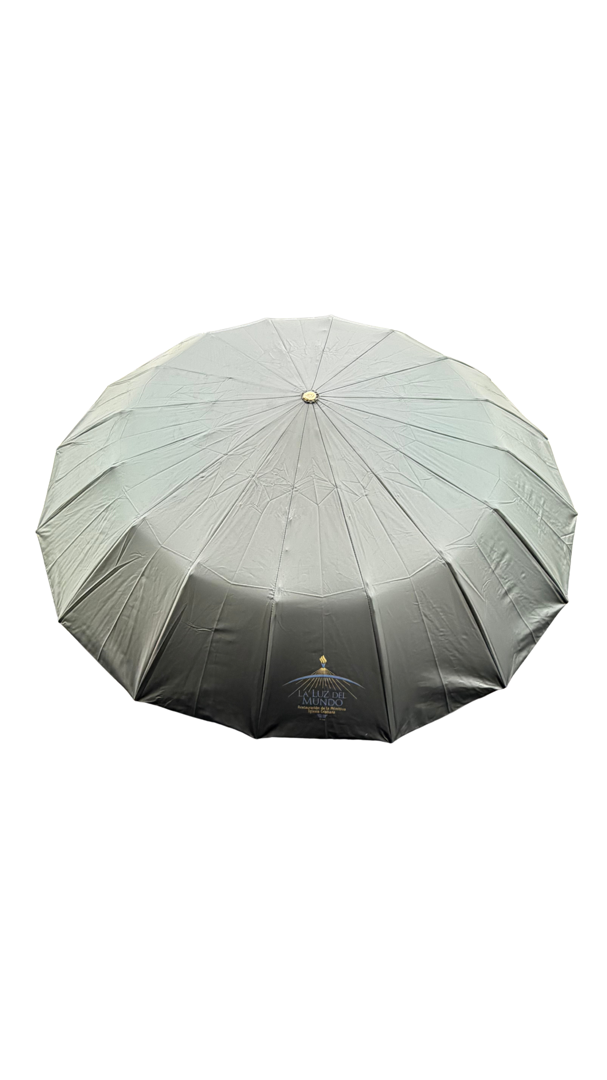 BUTTERFLY UMBRELLA
