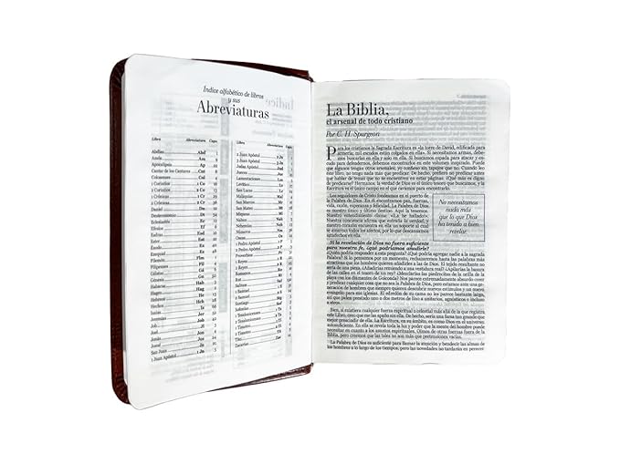 Biblia Tamaño Bolsillo Reina Valera 1960 Piel Imitación cafe clasica 8 Puntos Imitation Leather