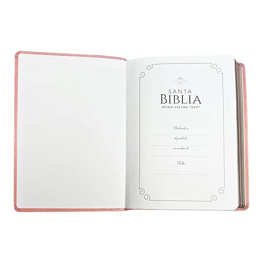 Biblia RVR 1960 Letra Súper Gigante Símil Piel Rosa