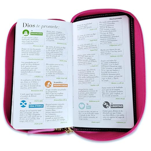 Biblia Chequera para Mujeres RV1960 con indice rosada/fucsia pequeña con lazo y agarradera de mano Imitation Leather