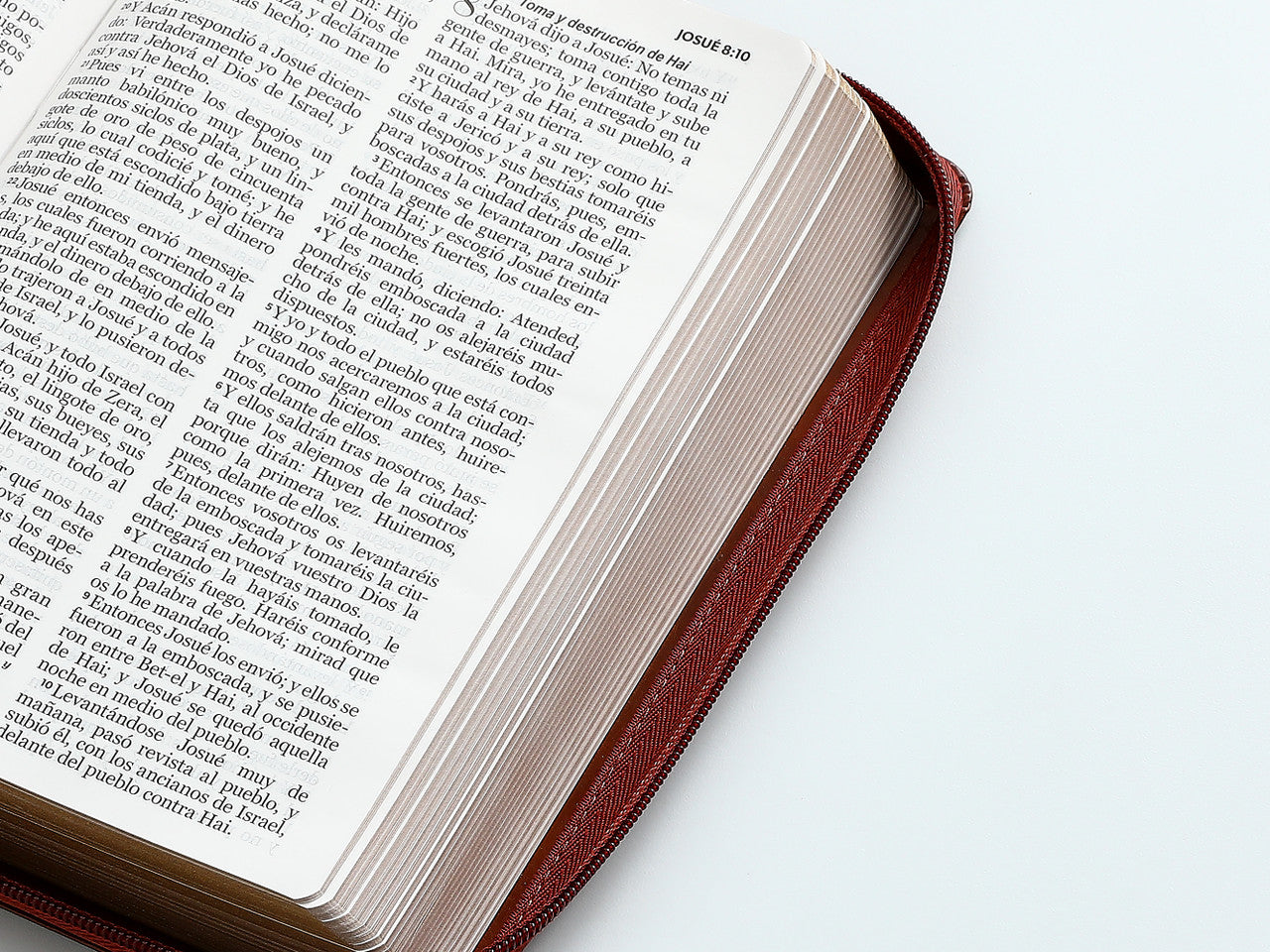 Biblia con Cierre Letra Grande 12 puntos RV1960 imit piel café