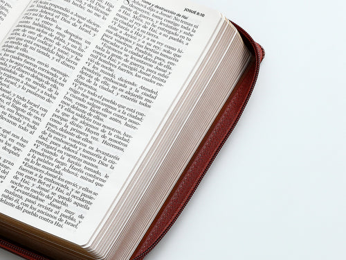 Biblia con Cierre Letra Grande 12 puntos RV1960 imit piel café