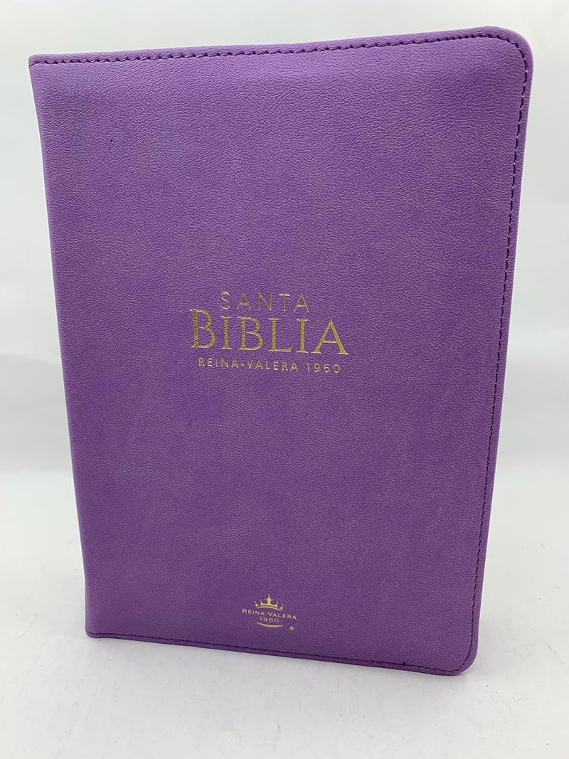 Biblia Tamaño Portátil Letra Grande 11 Puntos Rv1960 lila clásica con cierre
