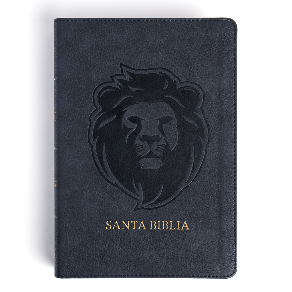 RVR 1960 Biblia letra grande tamaño manual edición especial, ceniza, símil piel (RVR 1960 Hand Size Giant Print, Ash, LeatherTouch Special Edition) (Spanish Edition)