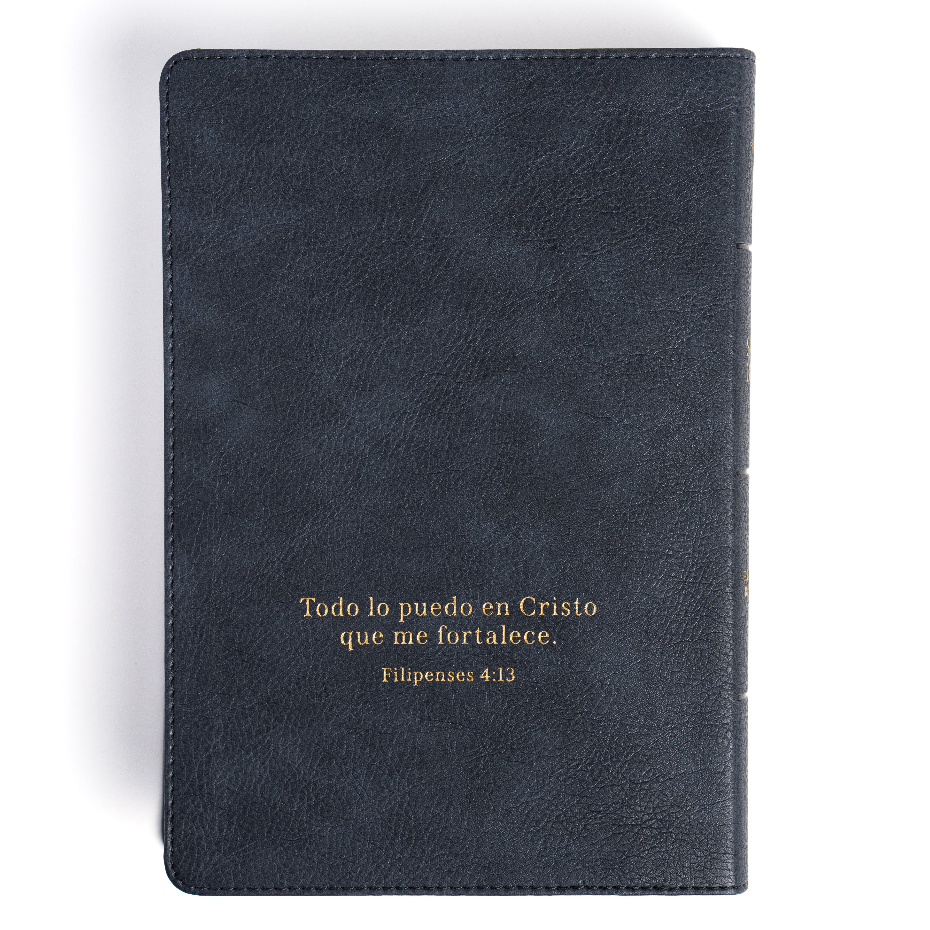 RVR 1960 Biblia letra grande tamaño manual edición especial, ceniza, símil piel (RVR 1960 Hand Size Giant Print, Ash, LeatherTouch Special Edition) (Spanish Edition)