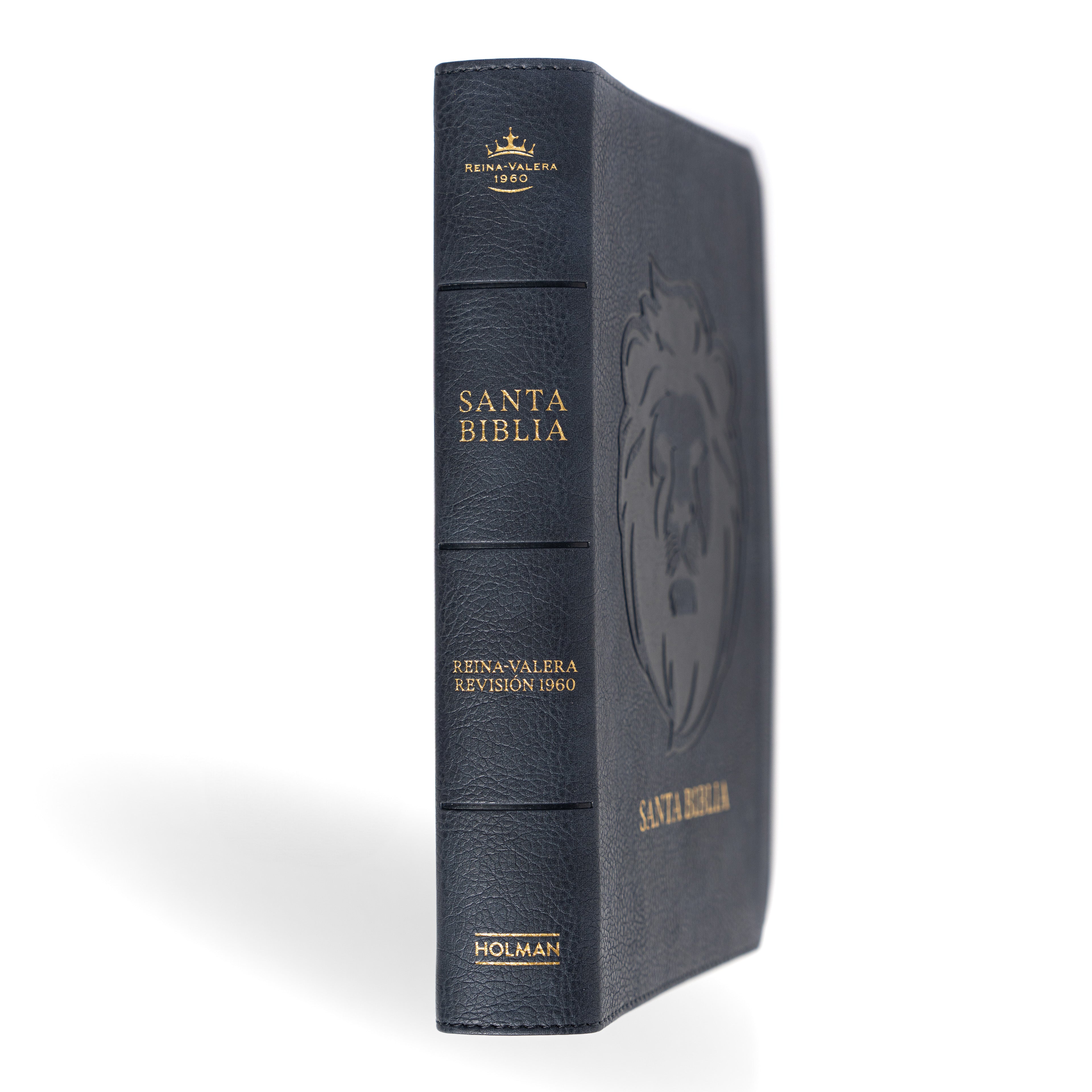 RVR 1960 Biblia letra grande tamaño manual edición especial, ceniza, símil piel (RVR 1960 Hand Size Giant Print, Ash, LeatherTouch Special Edition) (Spanish Edition)