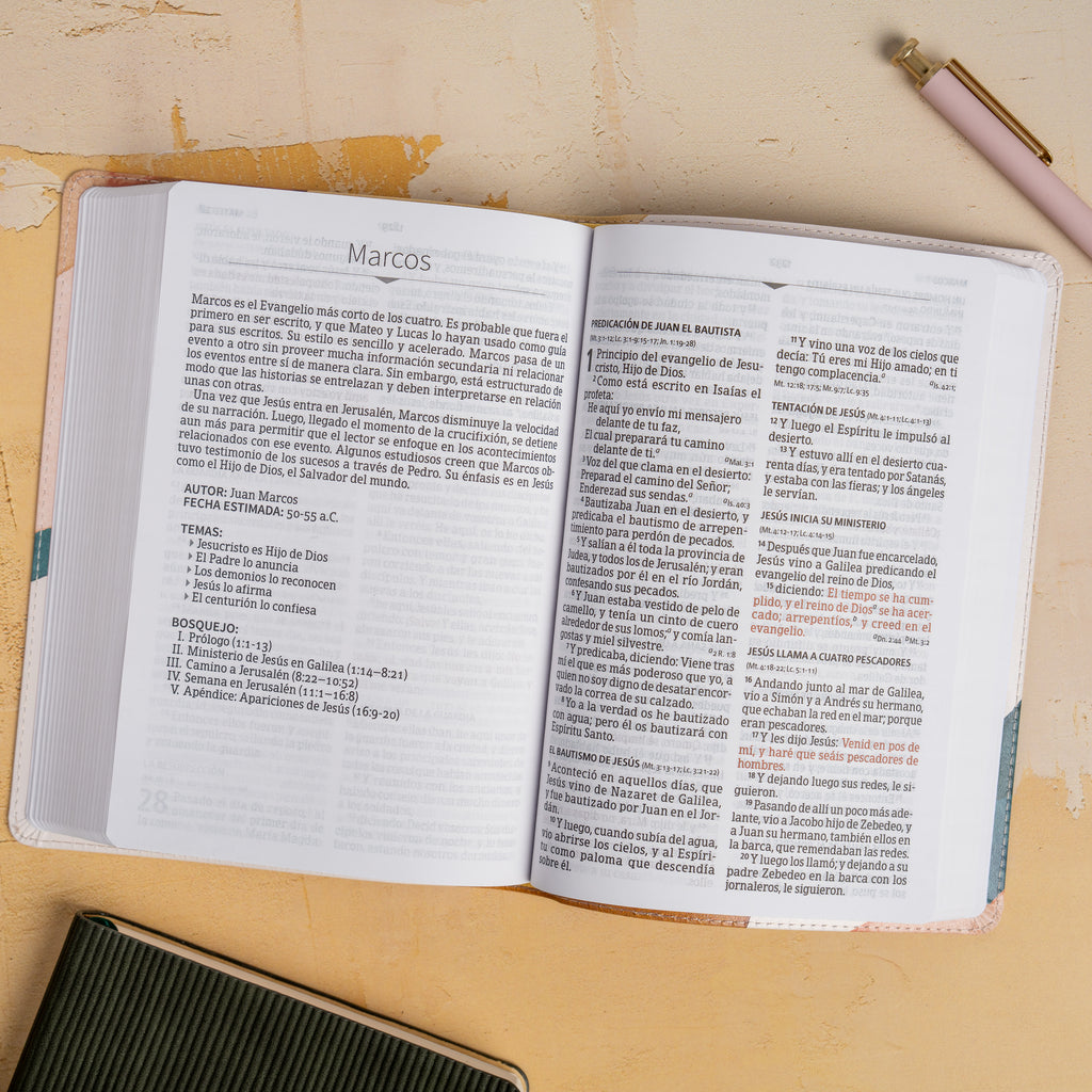 RVR 1960 Biblia letra grande tamano manual edicion especial, aqua (Hand Size Giant Print Bible, Aqua)