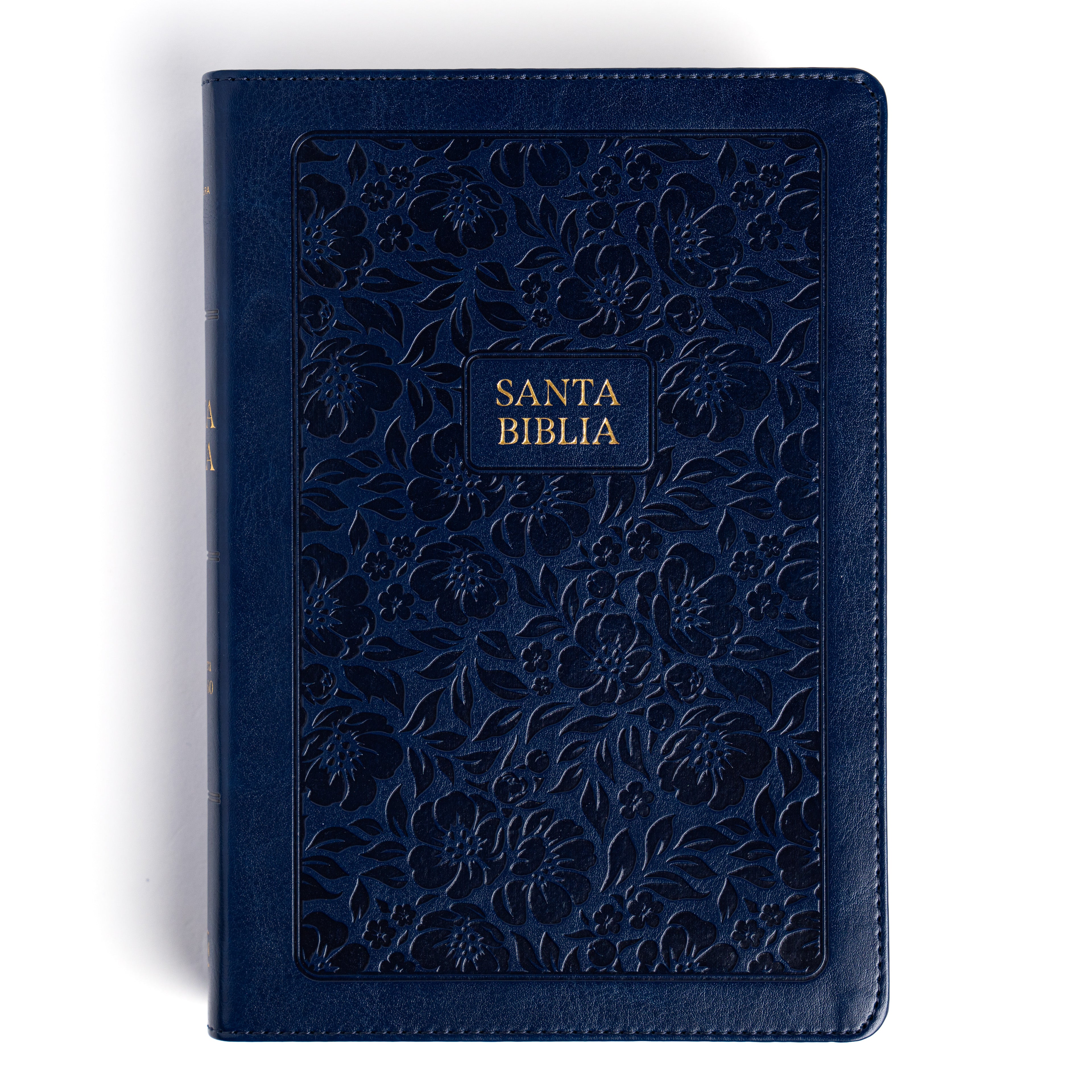 RVR 1960 Biblia letra grande tamaño manual edicion especial, azul marino (Hand Size Giant Print Bible, Navy)