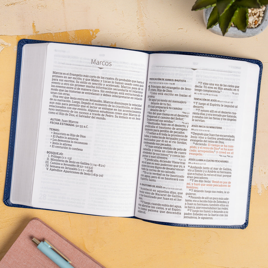 RVR 1960 Biblia letra grande tamaño manual edición especial, acuarela, símil piel (RVR 1960 Hand Size Giant Print, Watercolor, LeatherTouch, Special Edition) (Spanish Edition)