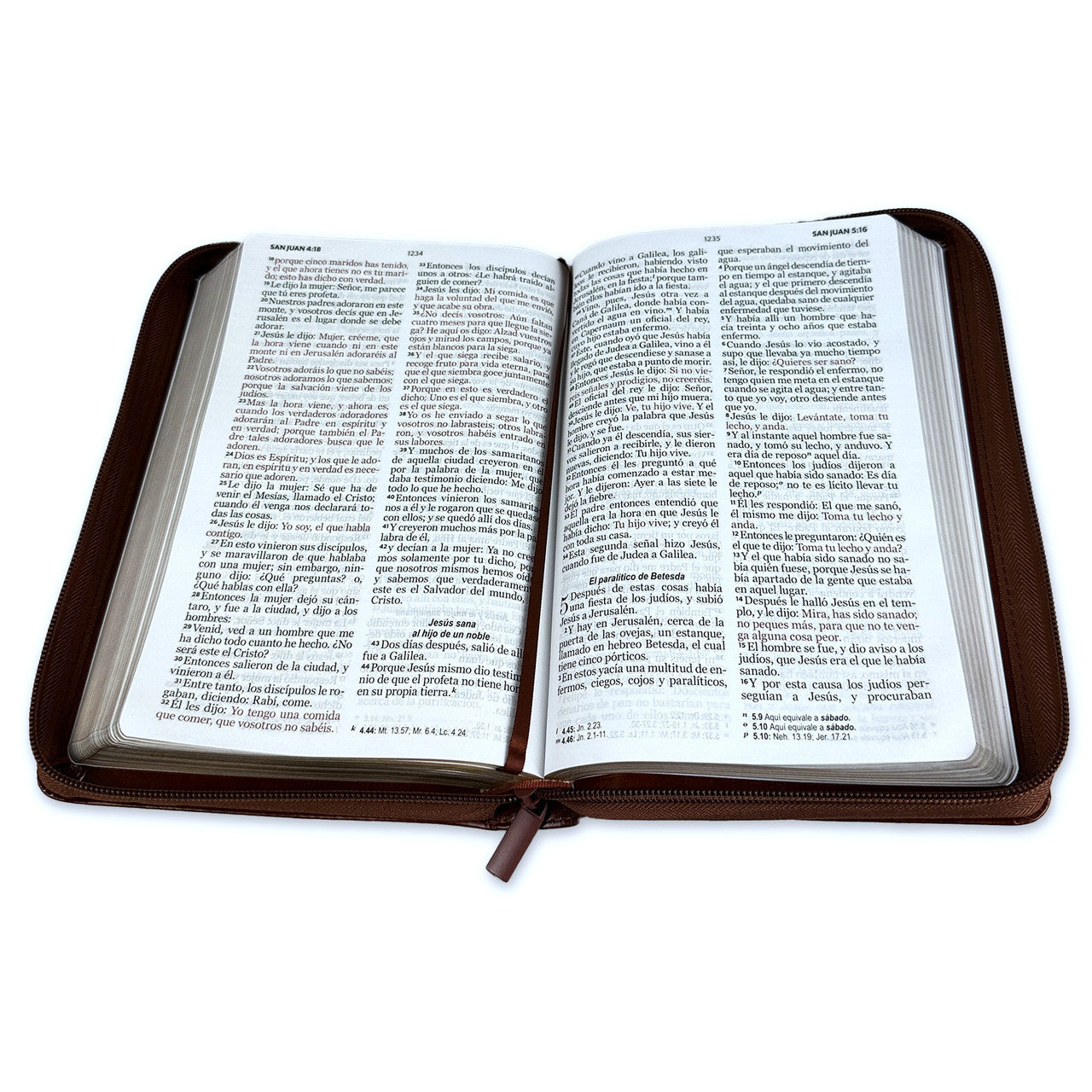 Biblia con Cierre Letra Grande 12 puntos RV1960 imit piel café
