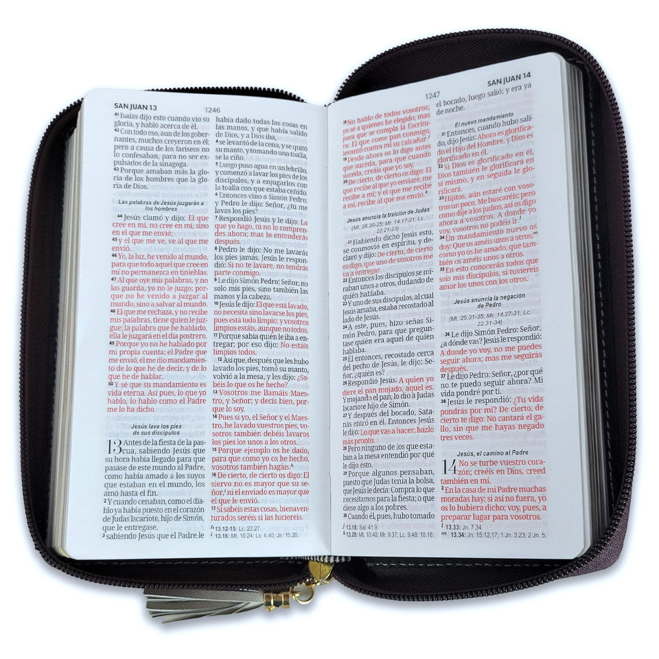 Biblia Chequera RV1960, imit. piel crema y café