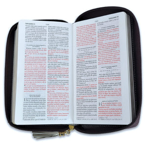 Biblia Chequera RV1960, imit. piel crema y café