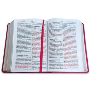 Biblia Portátil 12 puntos RV1960, imit piel fucsia cuadrado