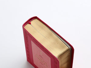 Biblia Portátil 12 puntos RV1960, imit piel fucsia cuadrado