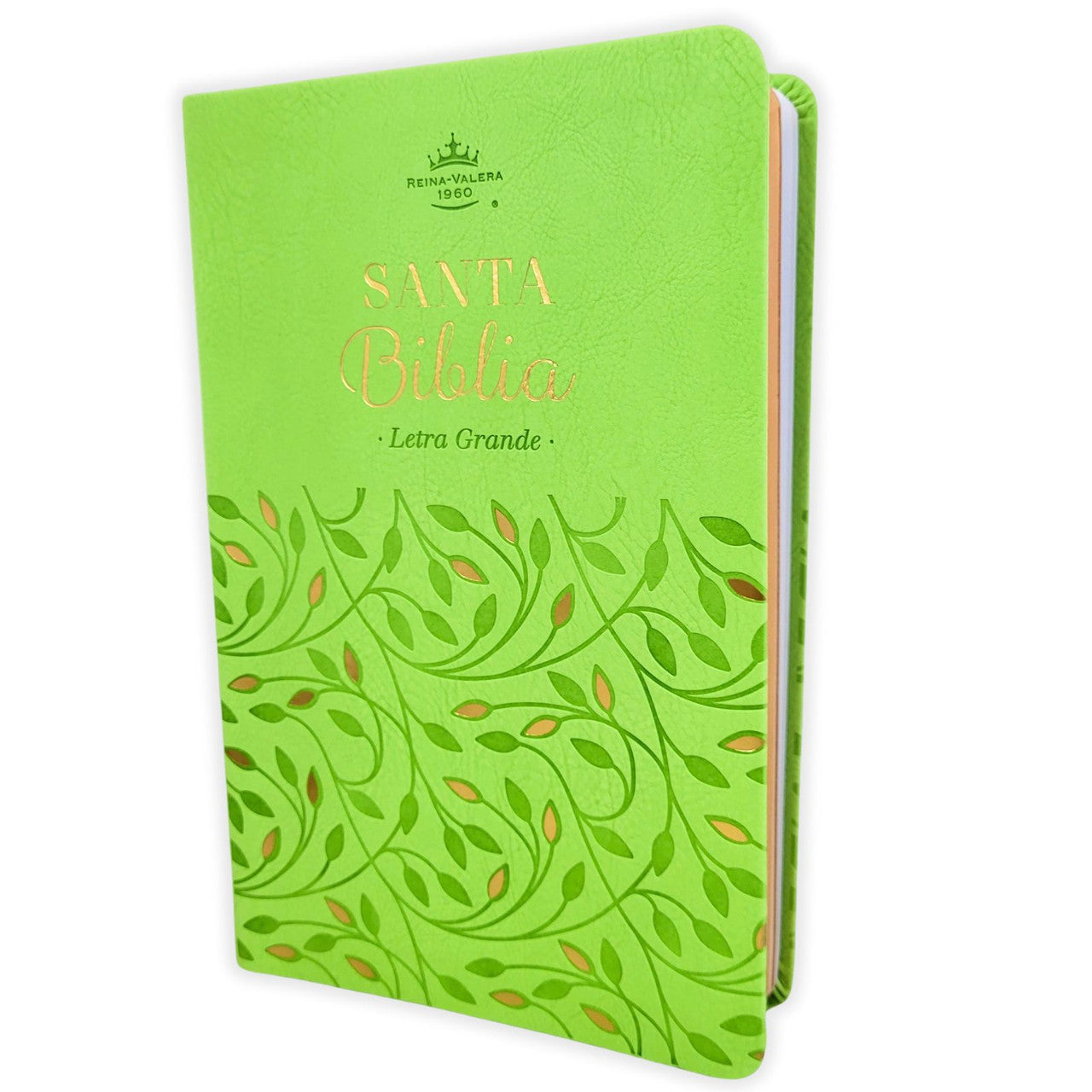 Biblia RVR60c Verde Olivo