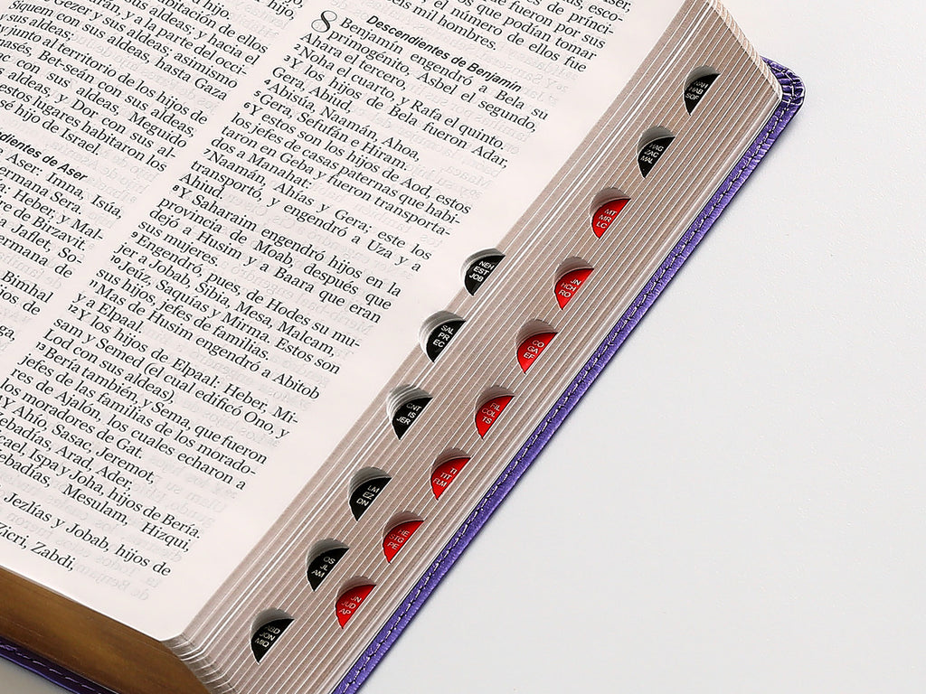 Biblia Letra Grande 12 puntos para Mujer RV1960 imit piel lila con índice