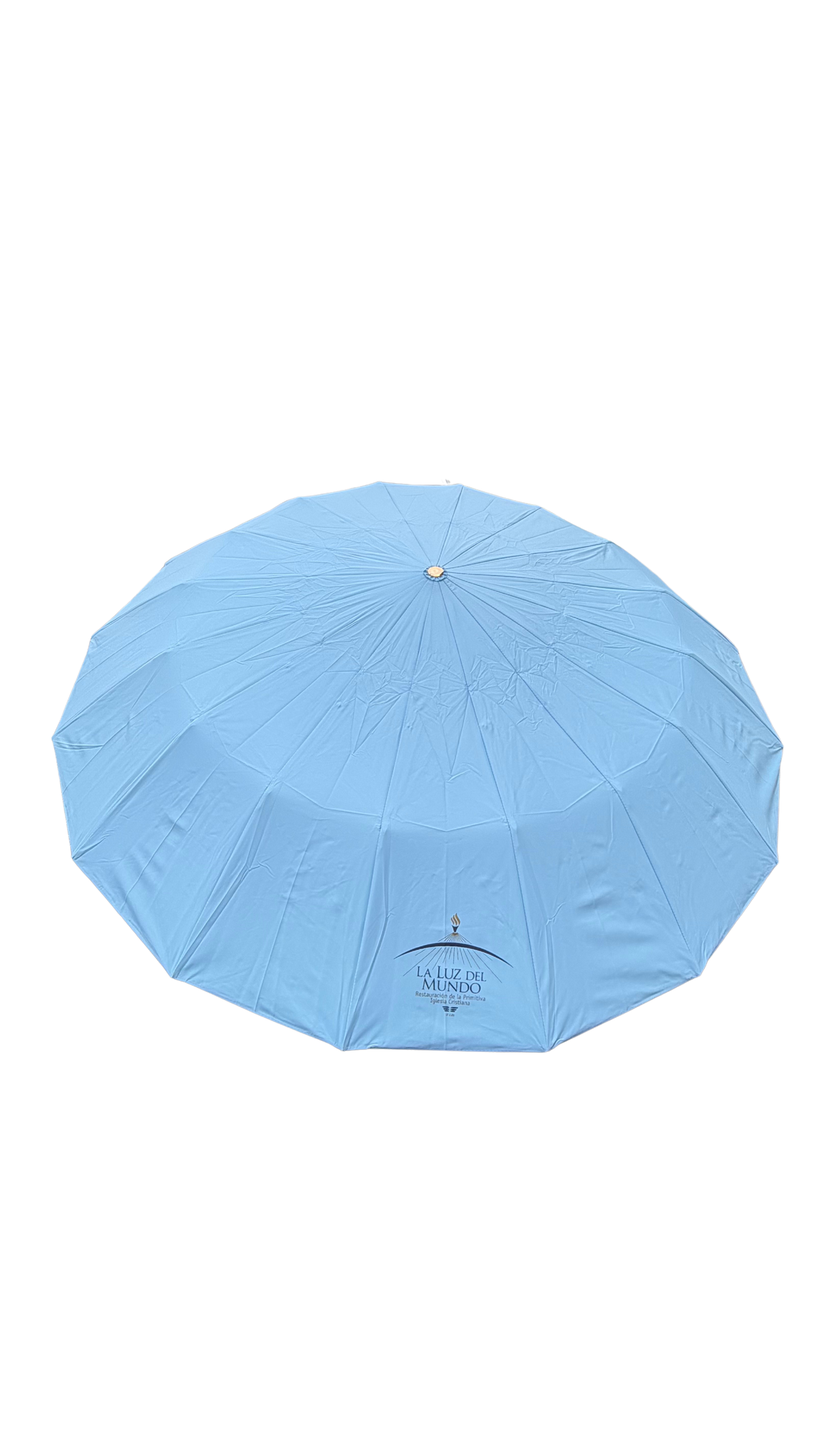 BLUE UMBRELLA