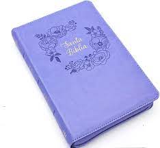 RVR 1960 Biblia con Referencias Tamaño Manual Letra Grande - Zíper Lila